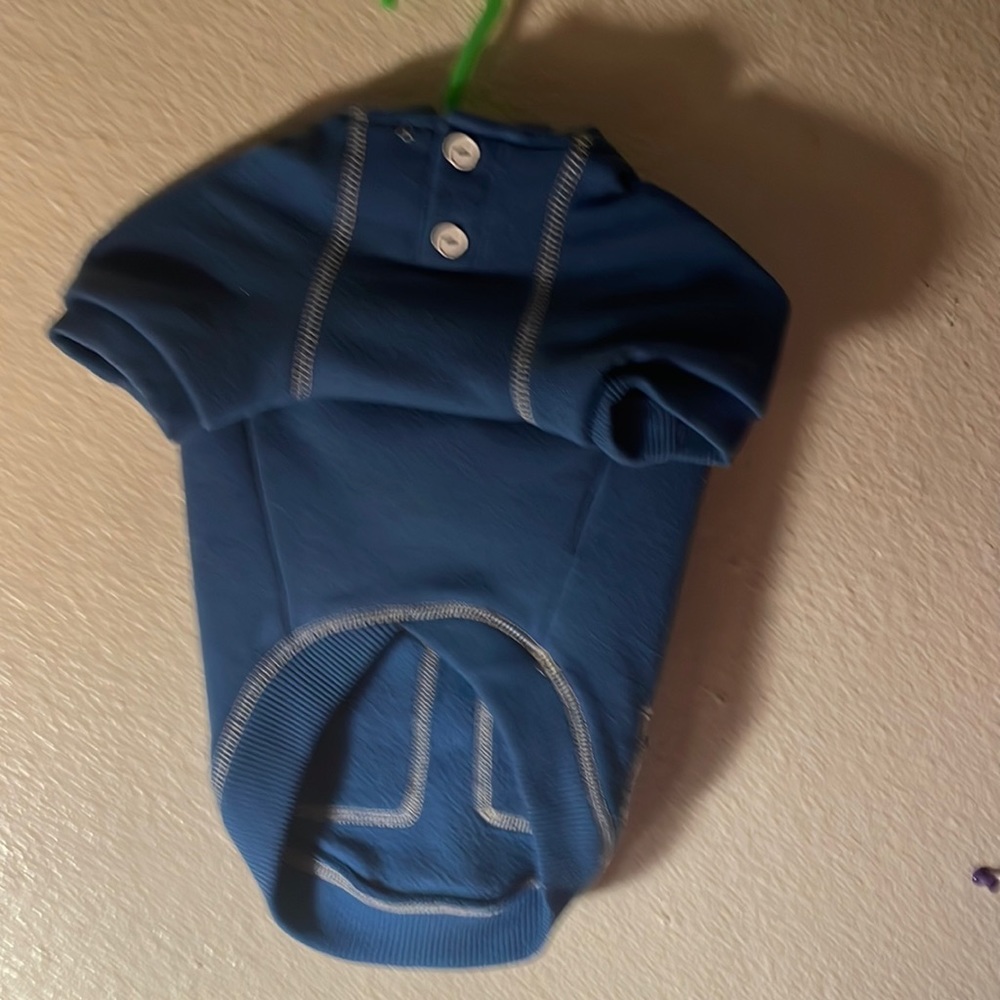 Dog Hoodie